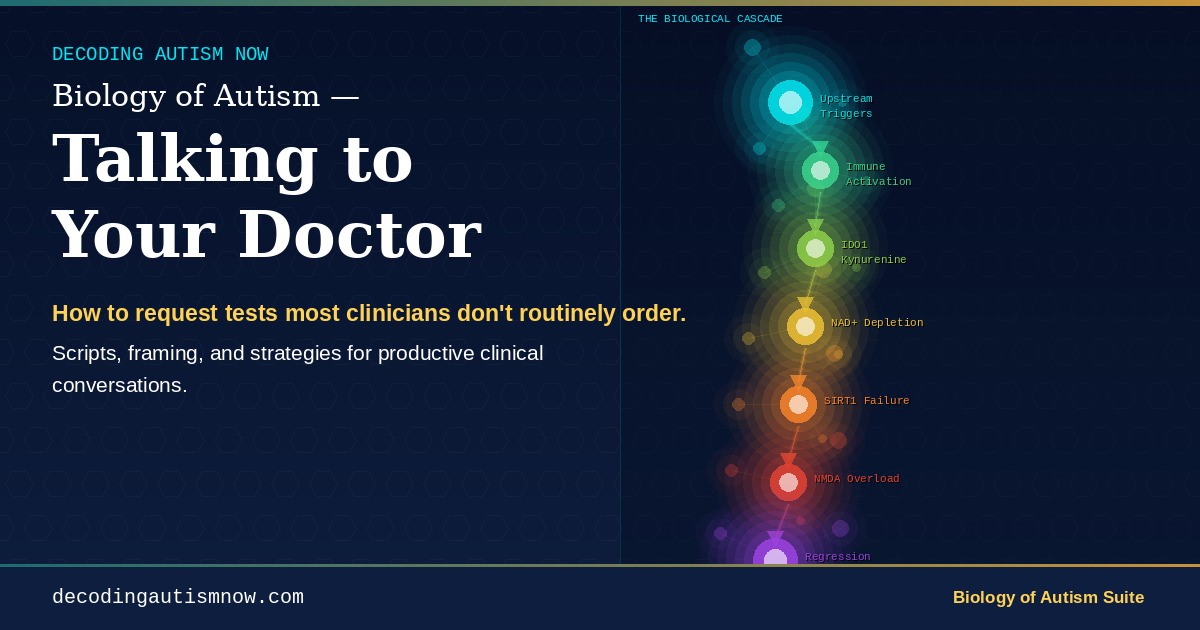 Biology of Autism — Talking to Your Doctor | Decoding Autism Now